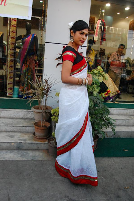 shraddha das new saree actress pics